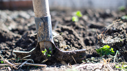 Fertilizer Licensing and Tonnage Reporting-AgriIndustry-Grid